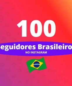 100 seguidores brasileiros instagram