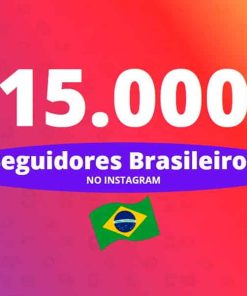 15mil seguidores brasileiros no instagram