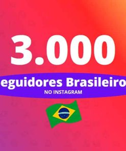 3000 seguidores brasileiros instagram